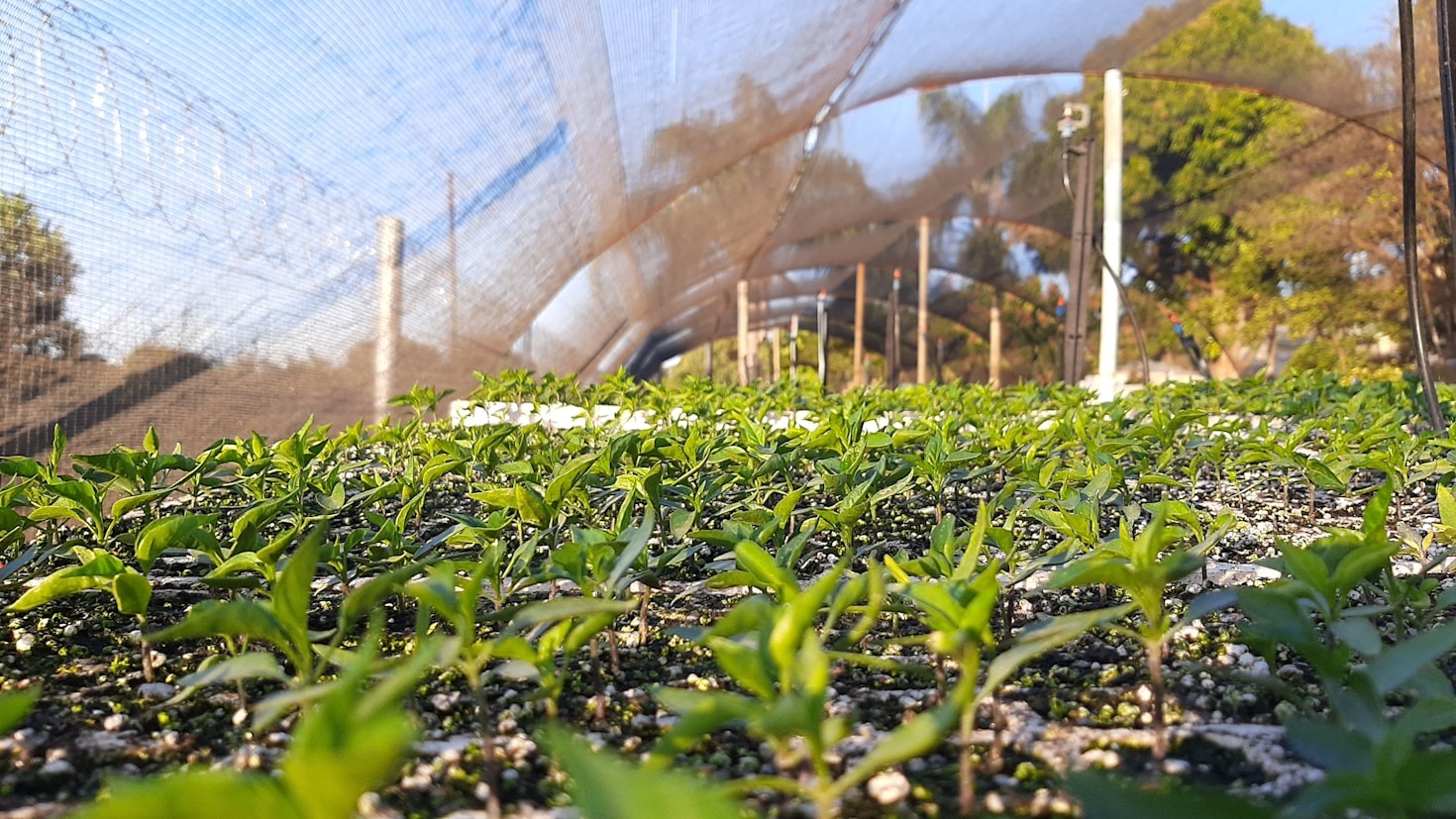 Affordable Green Solutions for Your Next Renovation
